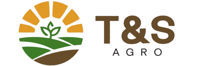 cropped ts logo 1.png